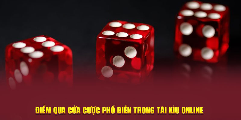 Điểm qua cửa cược phổ biến trong tài xỉu online