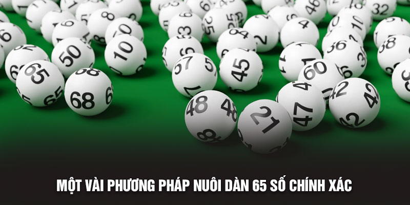 Một vài phương pháp nuôi dàn 65 số chính xác