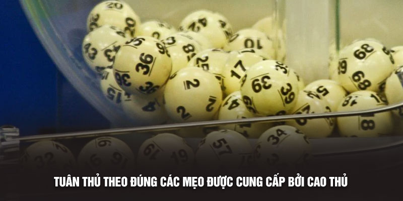 Tuân thủ theo đúng các mẹo được cung cấp bởi cao thủ