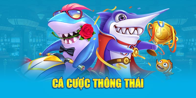 Cá cược thông thái