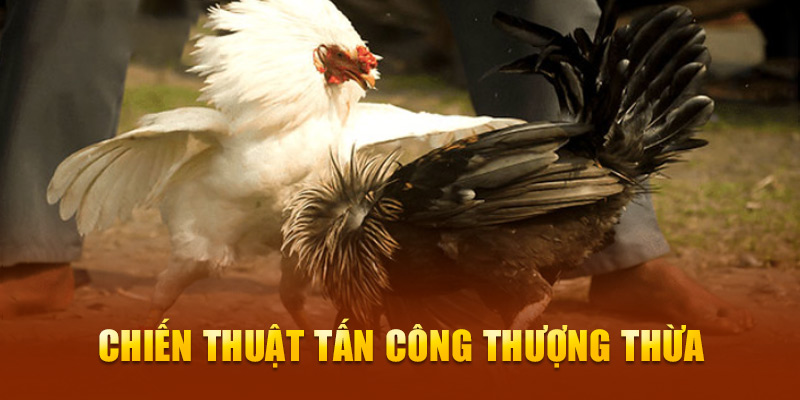 Chiến thuật tấn công thượng thừa