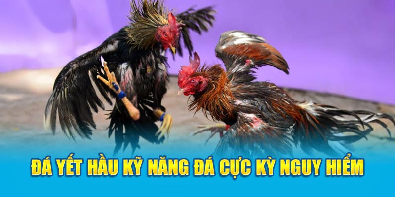 Đá Yết Hầu kỹ năng đá cực kỳ nguy hiểm