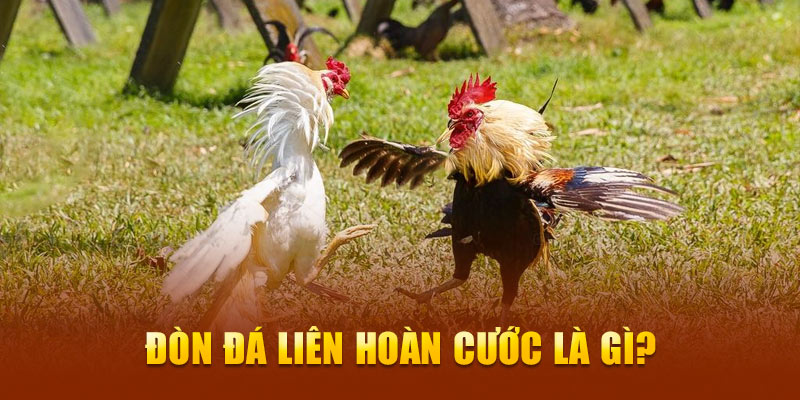 Đòn đá liên hoàn cước là gì?