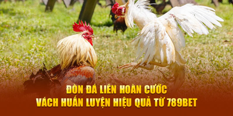 đòn đá liên hoàn cước