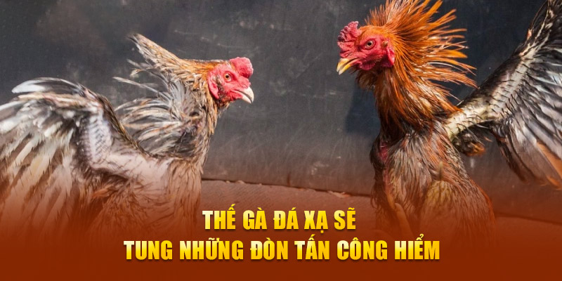 Thế gà đá xạ sẽ tung những đòn tấn công hiểm